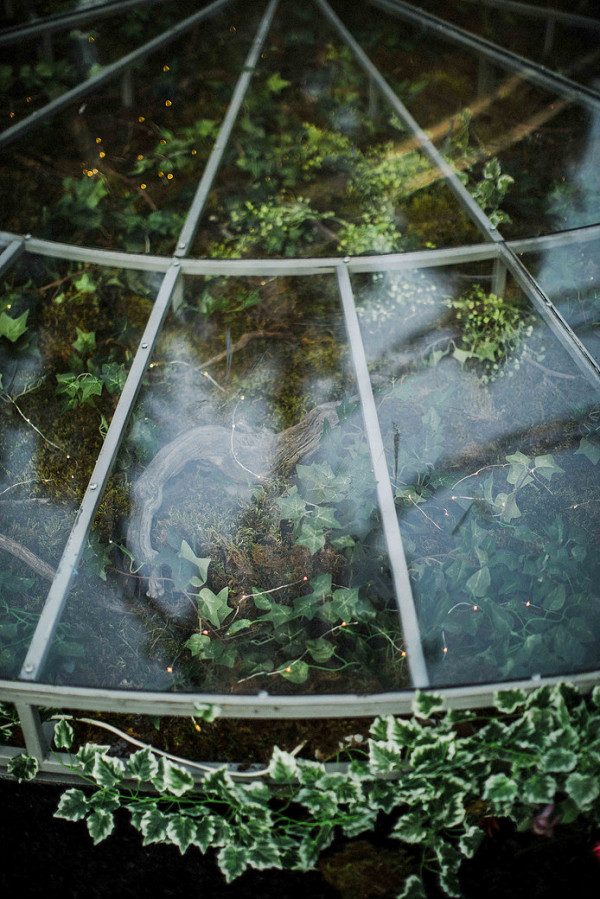 3 свадьбы в лесу среди елей и