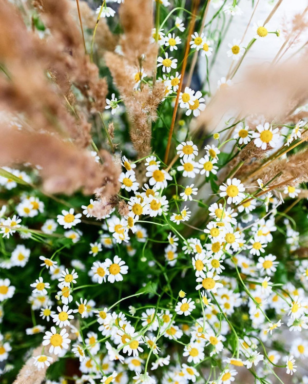 Все о свадьбе Светланы Бондарчук