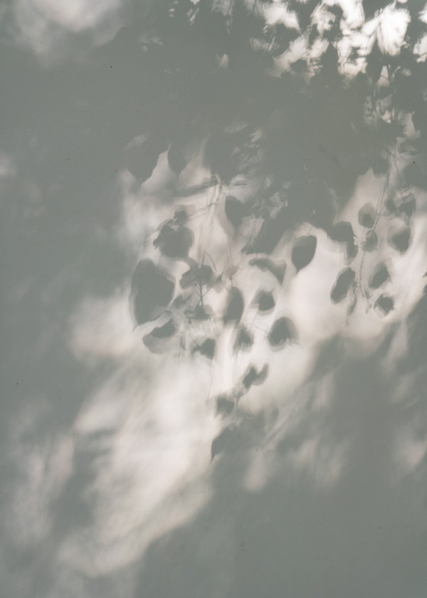 Трогательная церемония в подмосковном особняке