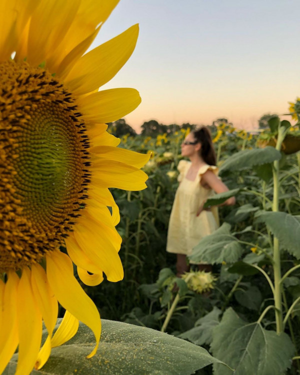 Лето кончается. 7 идей, чем заняться в