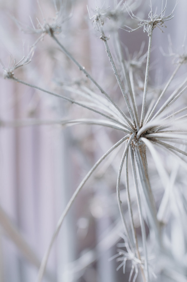 Свечи, сухоцветы и другие тренды в декоре