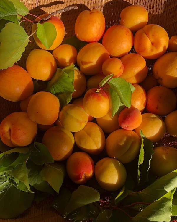 Лето кончается. 7 идей, чем заняться в