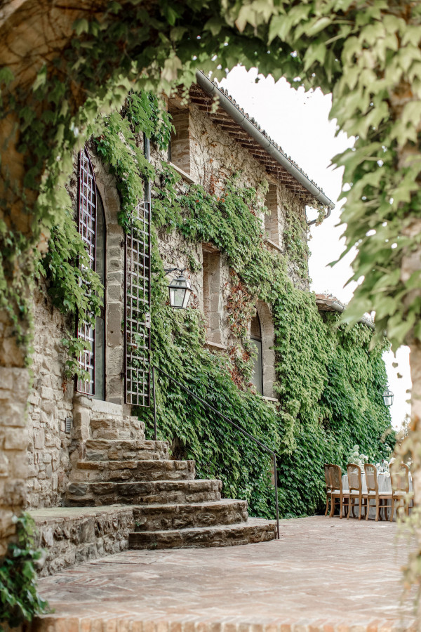 Итальянский свадебный ужин под оливковыми деревьями