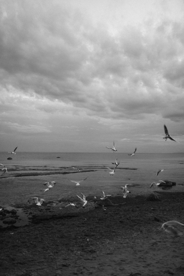 Предсвадебная съемка на яхте