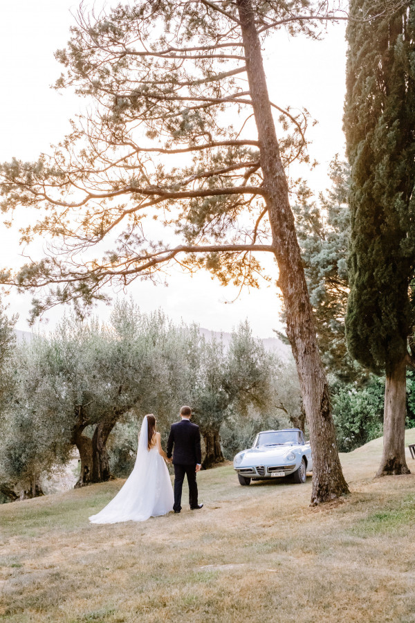 Итальянский свадебный ужин под оливковыми деревьями