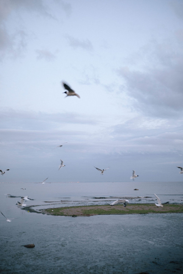 Предсвадебная съемка на яхте