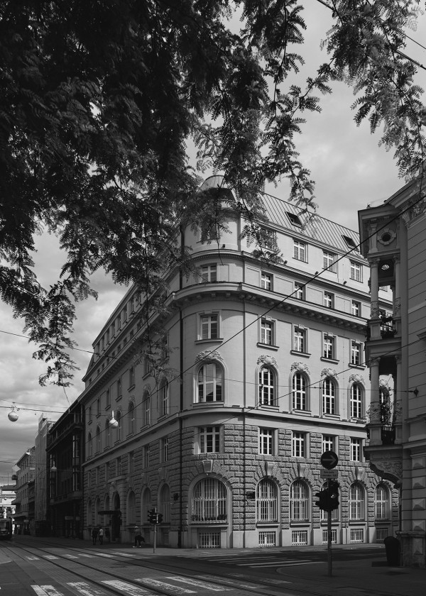 Вечеринка в честь венчания в объективе Романа