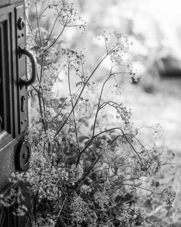 Самые яркие проекты свадебного агентства Royal Wedding