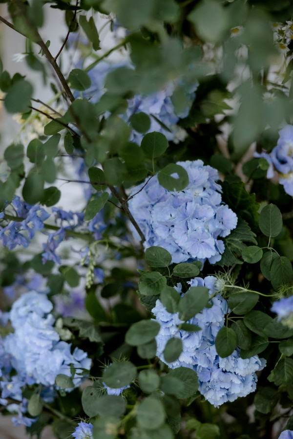 Летняя свадьба для двоих посреди цветущего поля