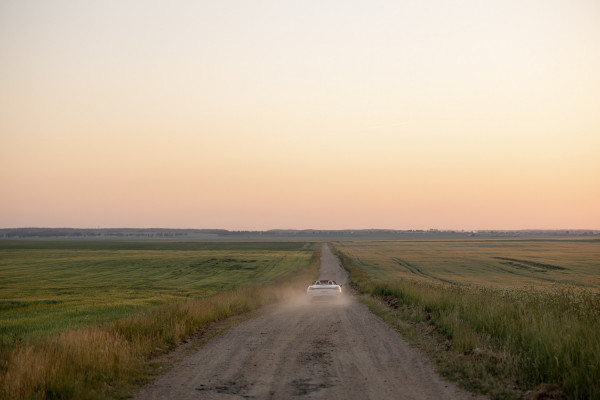 Летняя свадьба для двоих посреди цветущего поля