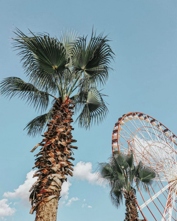 Куда полететь на мальчишник? 5 доступных мест