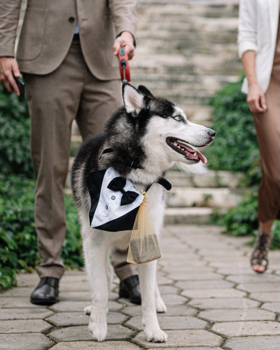 Хангри Вульф – больше, чем просто кейтеринг
