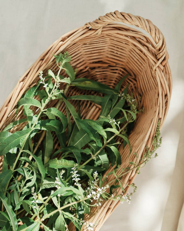 Herbaceous Bridal Bouquets