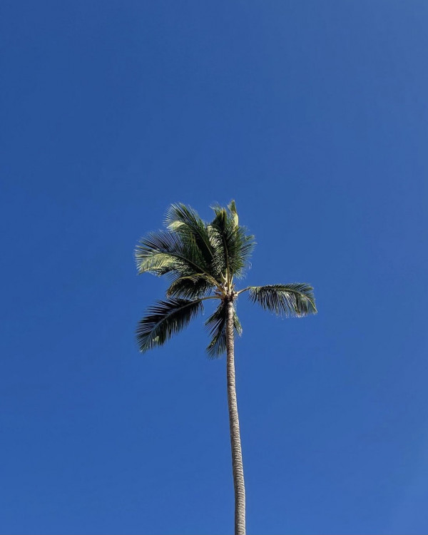 Куда полететь на мальчишник? 5 доступных мест