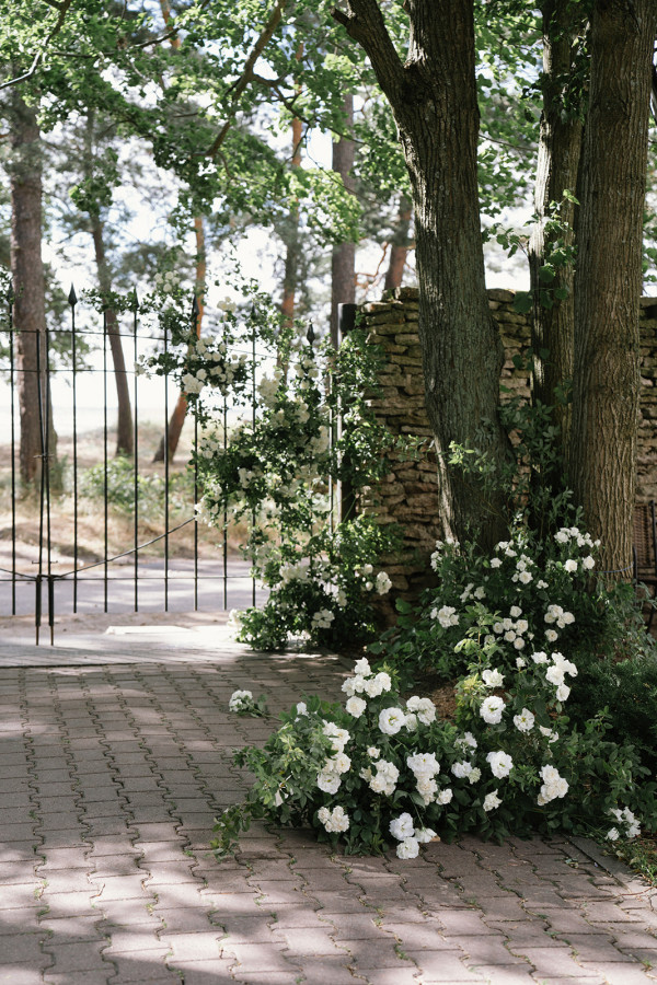 Летняя свадьба на берегу Финского залива