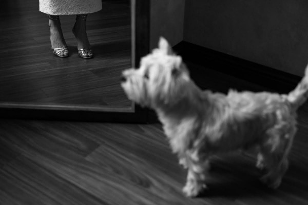 Камерная свадьба в частном баре