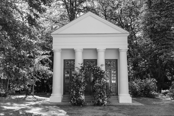 Летняя свадьба для двоих посреди цветущего поля