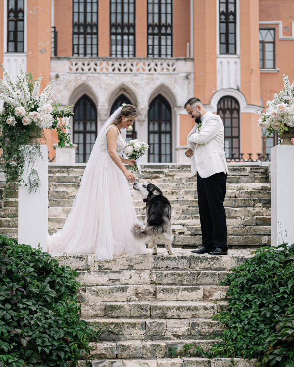 Хангри Вульф – больше, чем просто кейтеринг