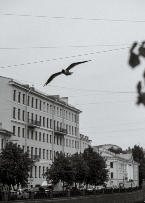 Свадебная серия в пасмурном Петербурге от Анны