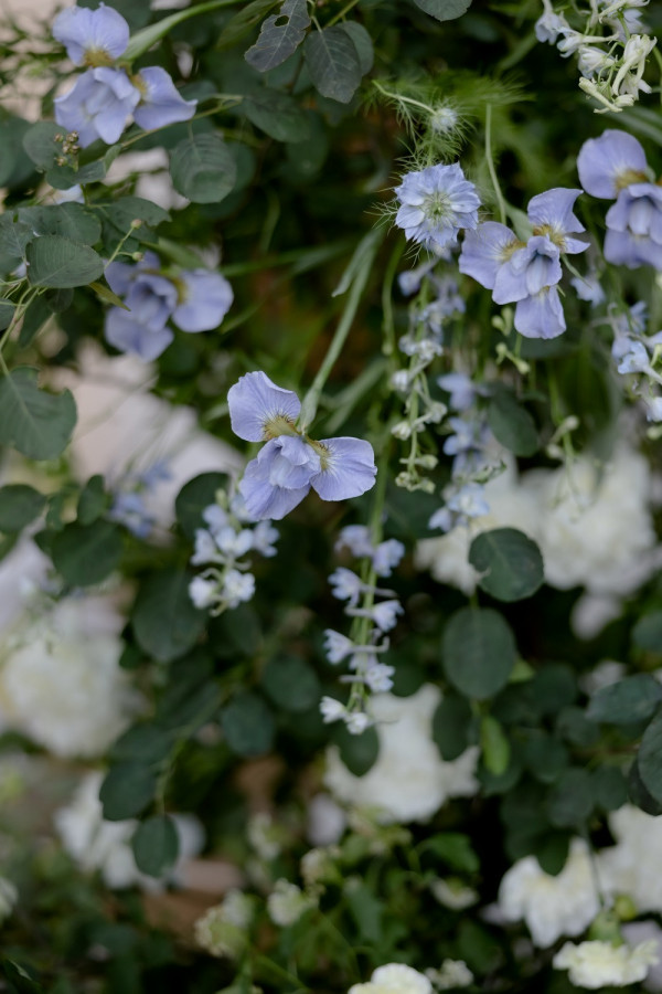 Летняя свадьба для двоих посреди цветущего поля