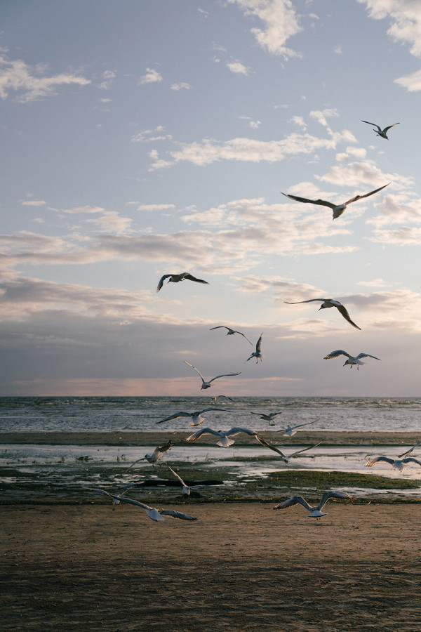 Летняя свадьба на берегу Финского залива