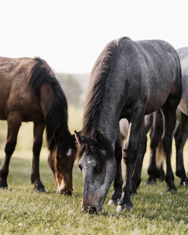 «Ресторан с роскошным декором — хорошо. Но
