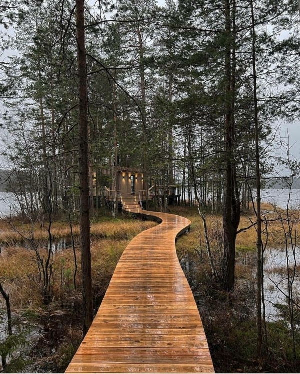 Как отметить девичник в Питере?