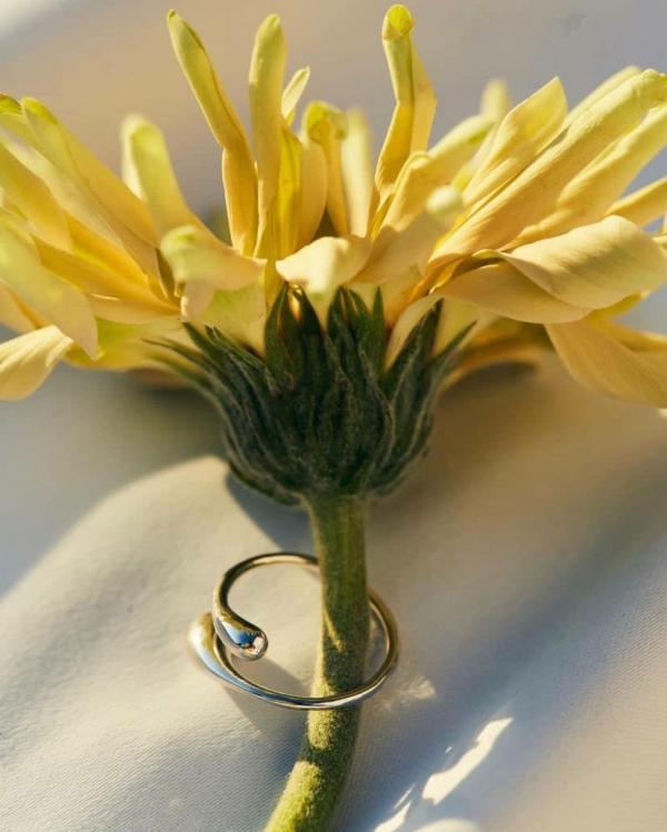 Кольцо обещания: что это и где его