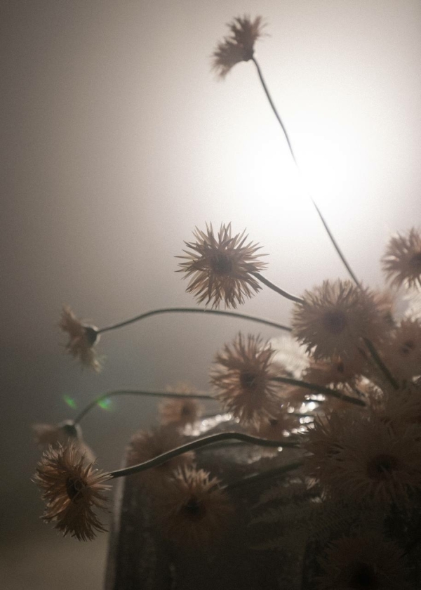 Декораторы Анна Виноградная