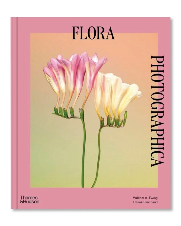 Красивые книги, которые вдохновят вашу подготовку к