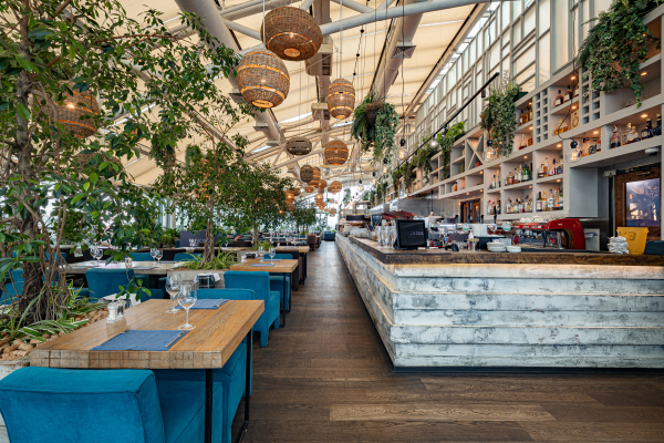 Площадки Карлсон