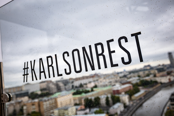 Площадки Карлсон