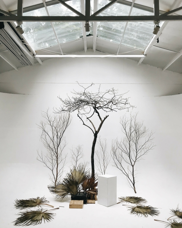 Как небанально оформить фотозону? 22 классные идеи