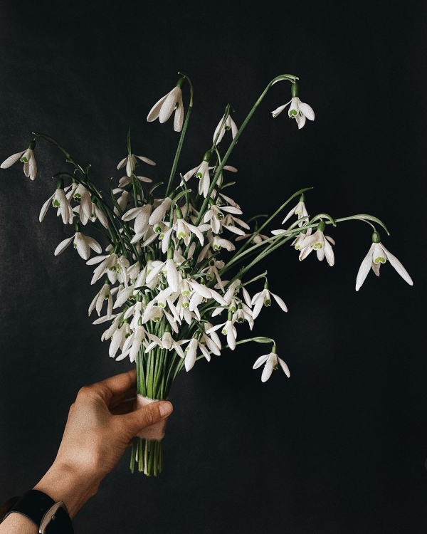 Все о сезонной флористике на свадьбе