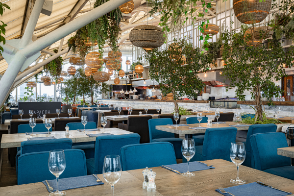 Площадки Карлсон