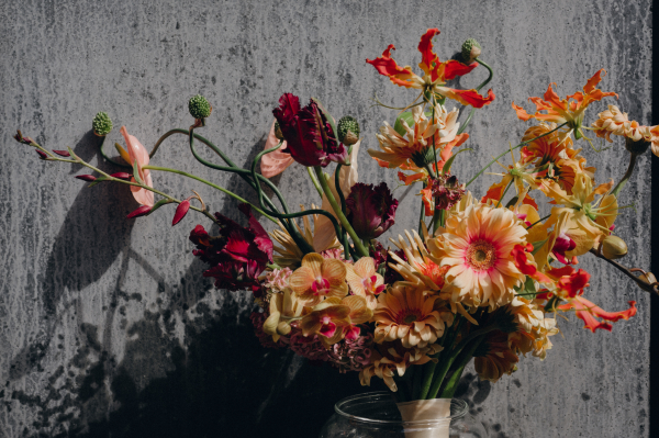 Агентства CELEBRATE IT