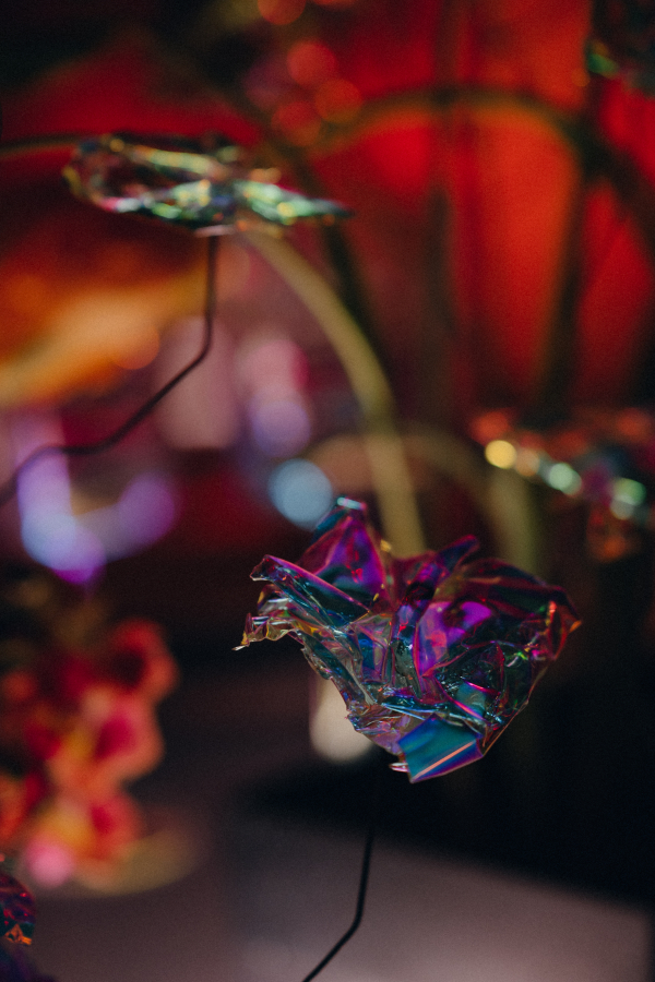 Агентства CELEBRATE IT