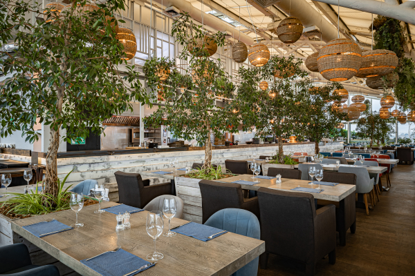 Площадки Карлсон