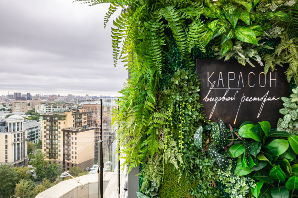 Площадки Карлсон