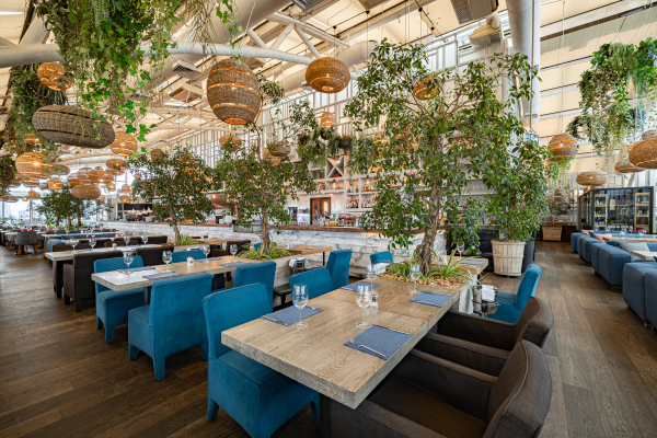 Площадки Карлсон