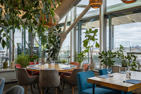 Площадки Карлсон