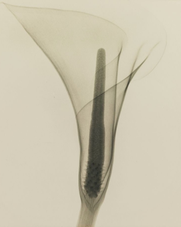 Красивые книги, которые вдохновят вашу подготовку к