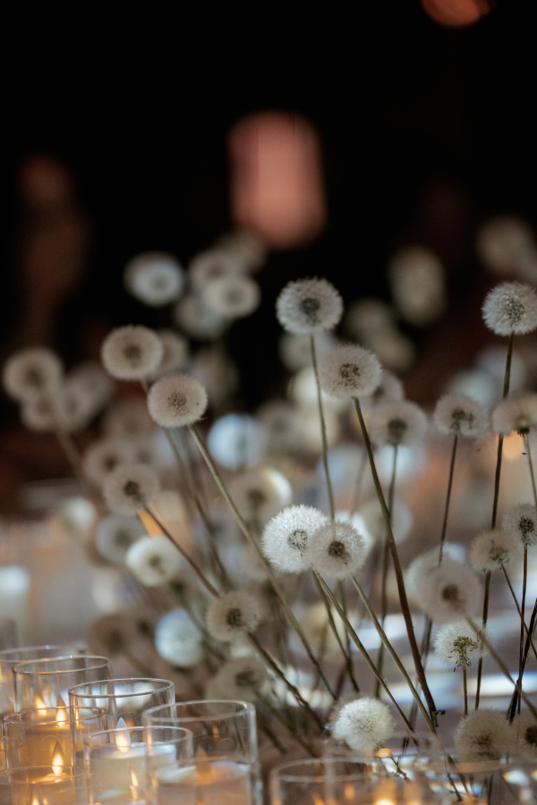 Агентства CELEBRATE IT