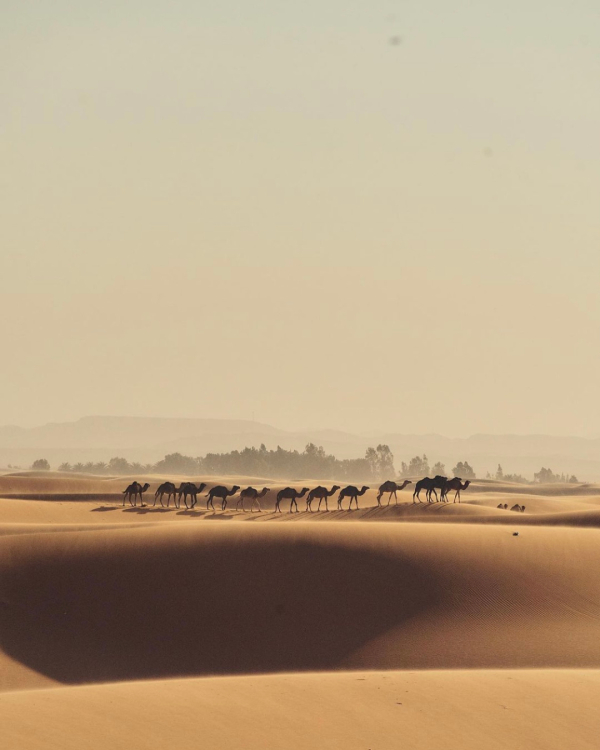 Где провести медовый месяц в бархатный сезон?