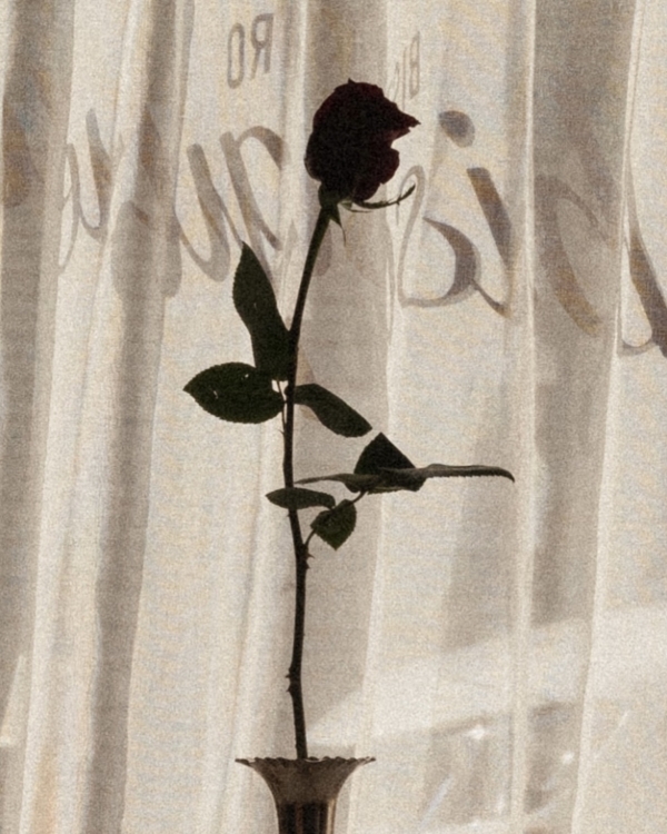 Вот российские бренды мужской одежды, которые раздают