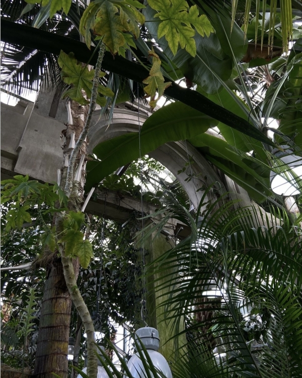 Пикник «Афиши» в Лужниках, читмил в Layerz