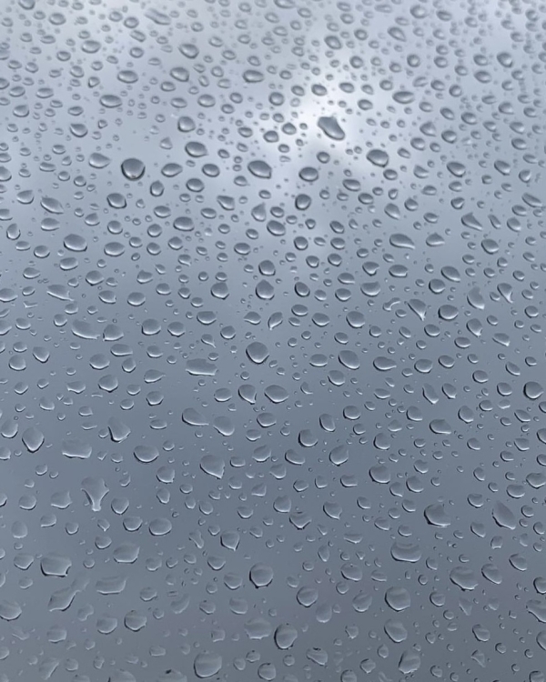 Что делать, если в прогнозе на свадьбу