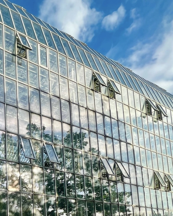 Наматываем на ус. Идеи для первого свидания