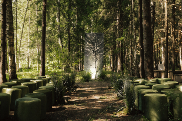 Площадки The Birch