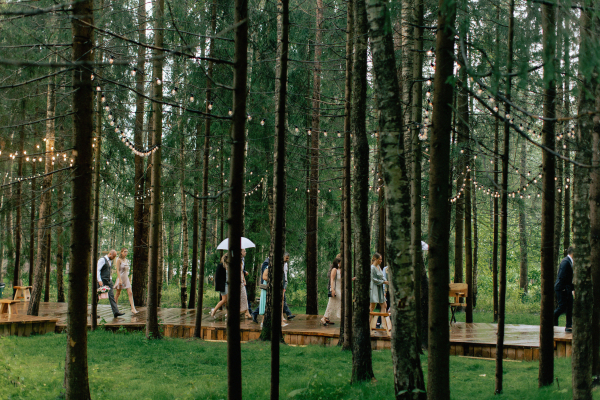 Площадки The Birch